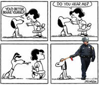 57.5